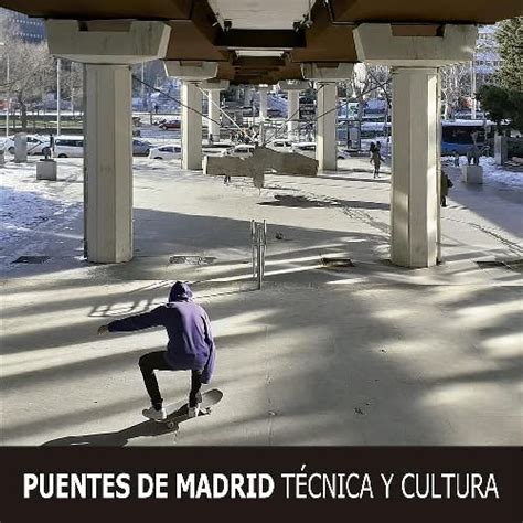 PUENTES DE MADRID, TÉCNICA Y CULTURA